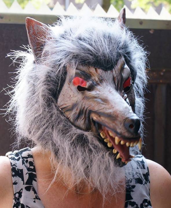 Wolf duikt op in hartje Groningen : winkelierster handig met social media