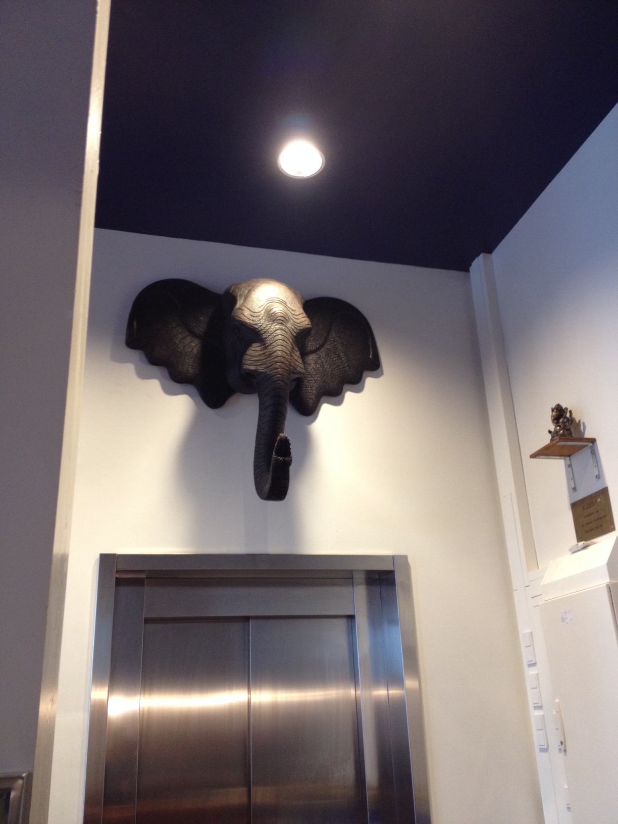 Een van de olifanten in de huiskamer