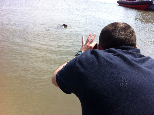 De nieuwsgierige dieren laten zich nog even fotograferen.
