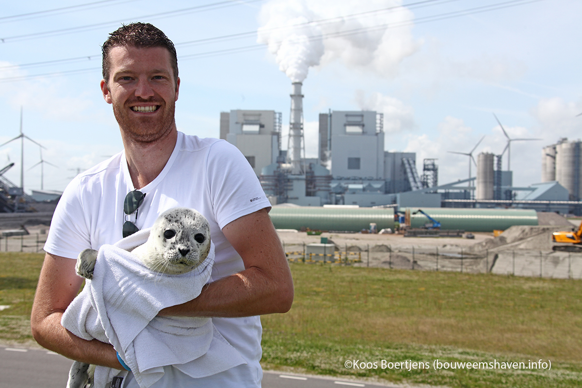 Eerste huiler gestrand en gered in Eemshaven