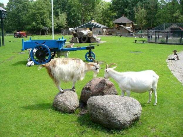 Kinderboerderij Stadspark voor 4 ton verbouwd