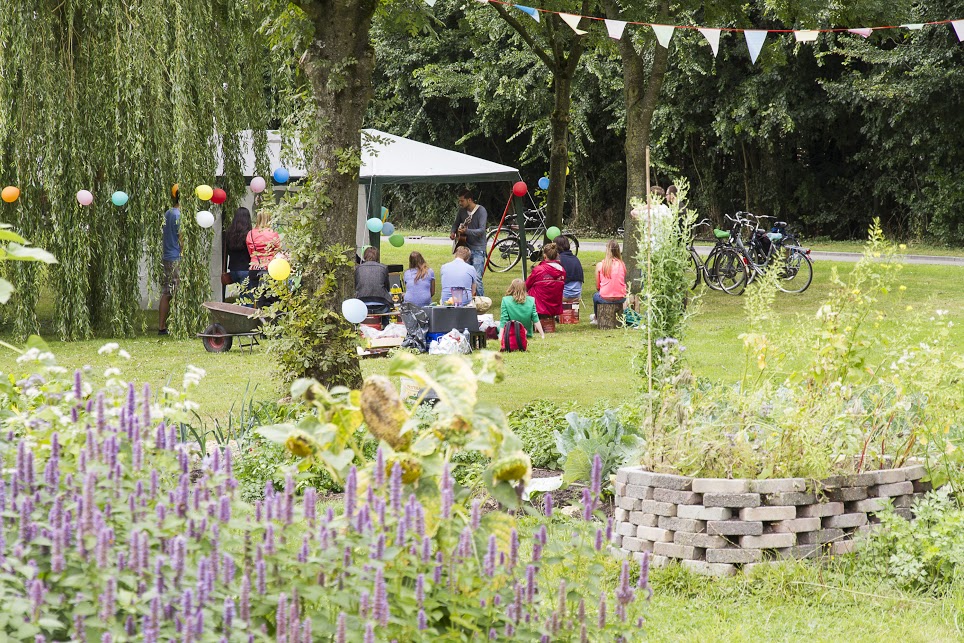Steeds meer eetbare tuinen in stad Groningen
