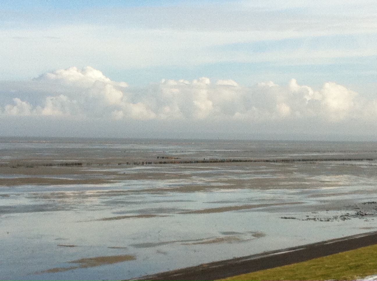 De Eemsmond vanaf de dijk.