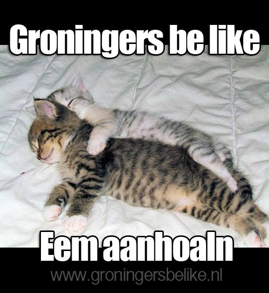 Groningers hebben dagelijks al aandacht genoeg voor elkaar..