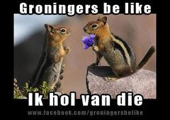 3. En soms spreken ze het ook echt gewoon uit.