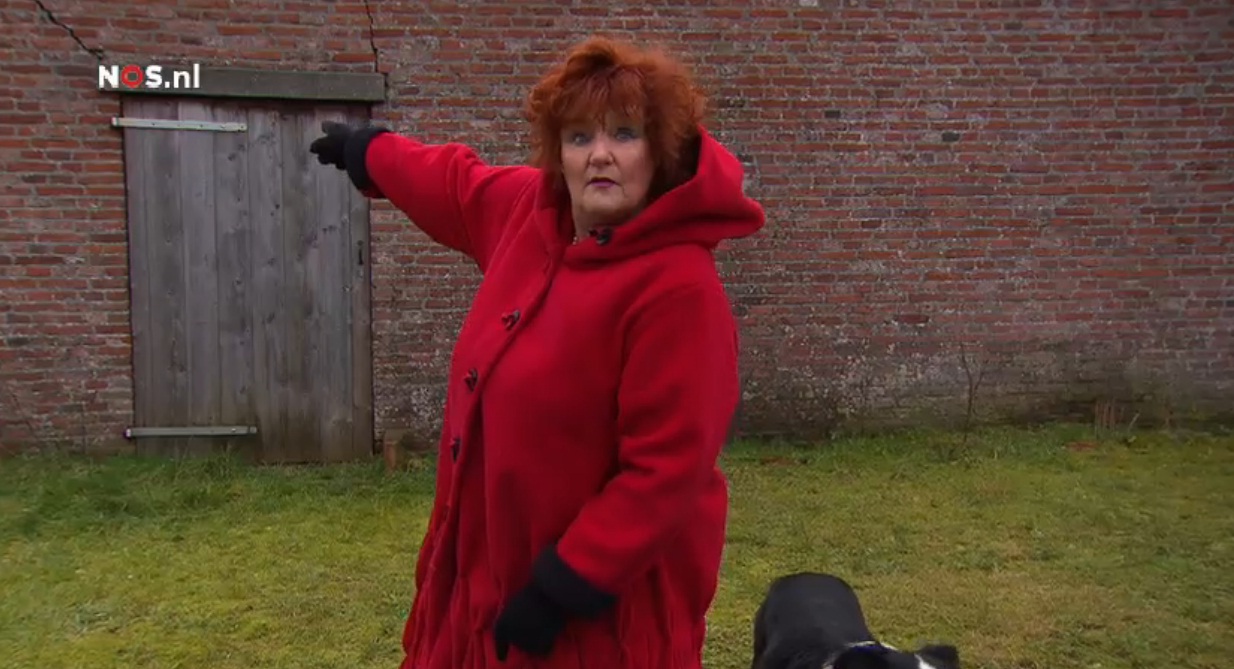 Imca Marina’s nieuwe aardbevingslied: geschikt of niet geschikt?