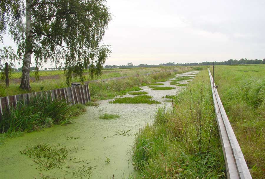 Raad van State geeft milieugroepering gelijk in Hoogezand-Sappemeer