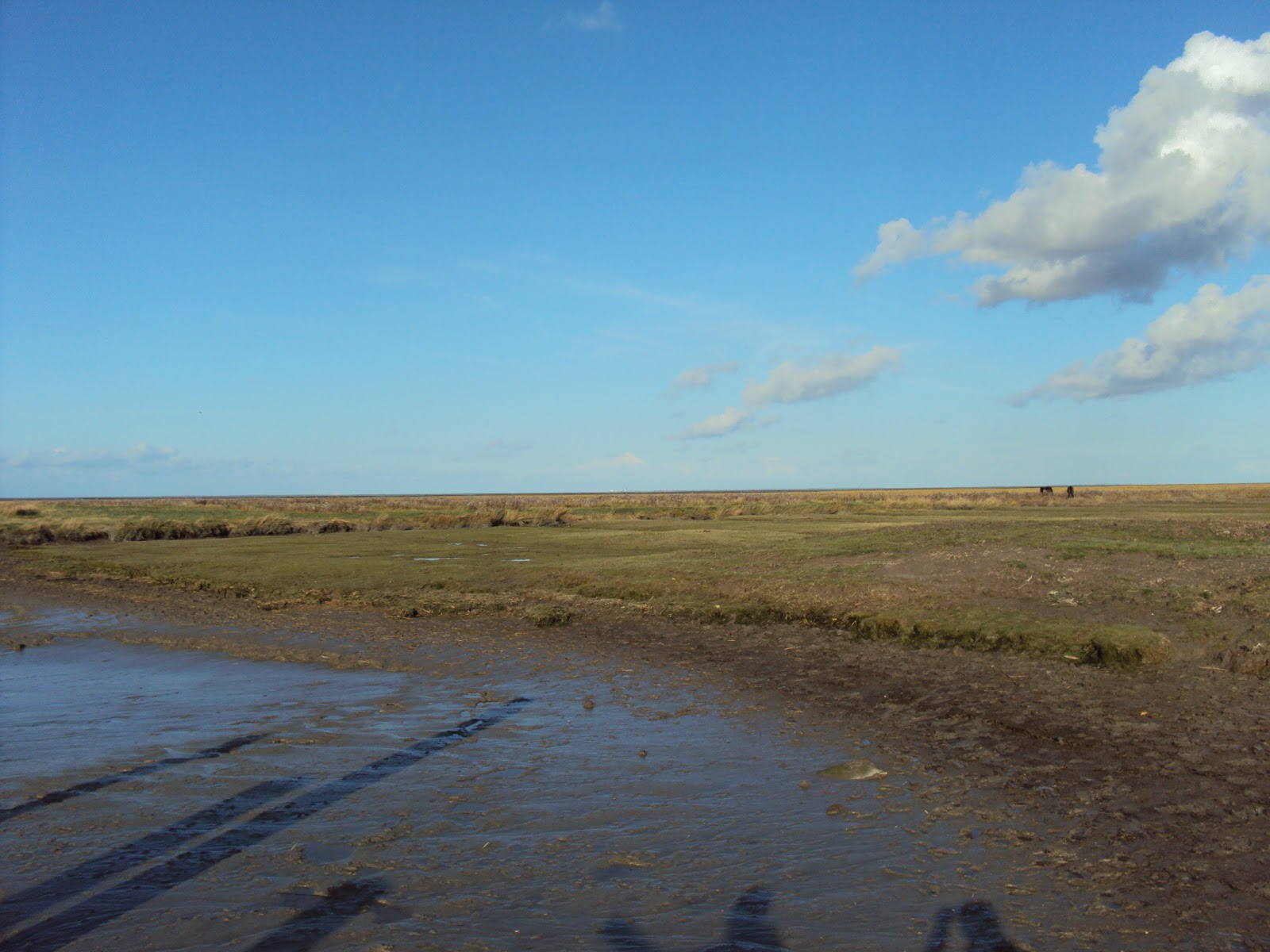 Ode aan Groningen:  'Uitzicht is een mooi idee' - Wat, miejong?