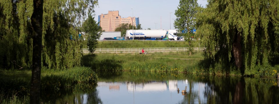 Onderzoek naar bomen rond zuidelijke ringweg