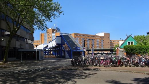 Onderzoek naar gebruik “Blauwe Brug” bij Hoofdstation