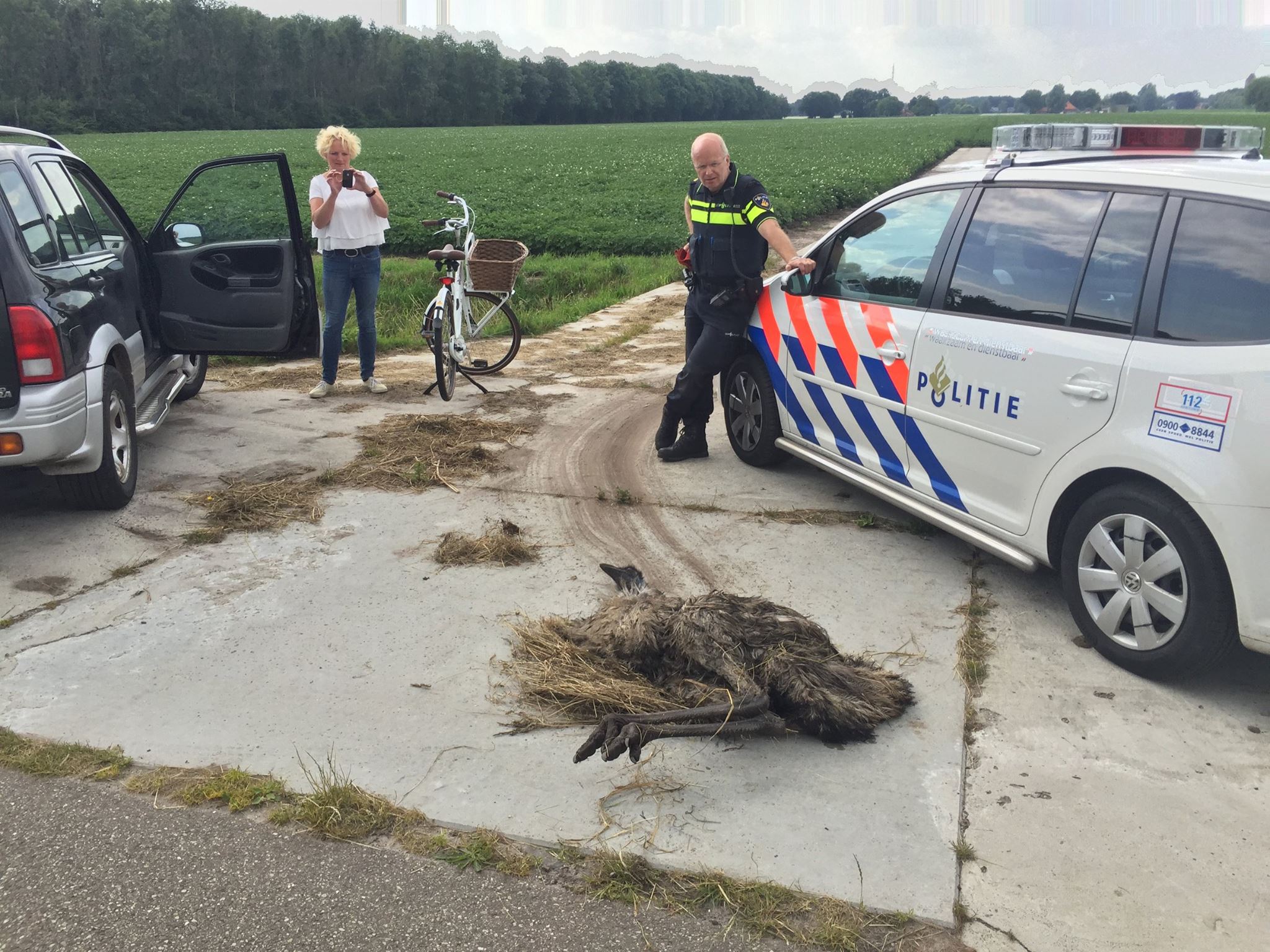 Ophef over dood van ontsnapte emoe