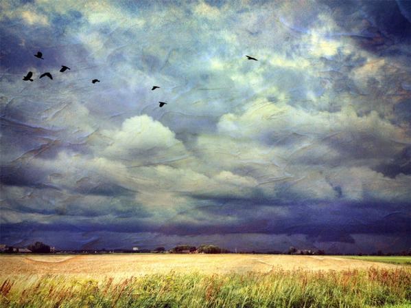 Storm raast uit over Groningen – weinig schade, wel veel onnodige telefoontjes naar 112