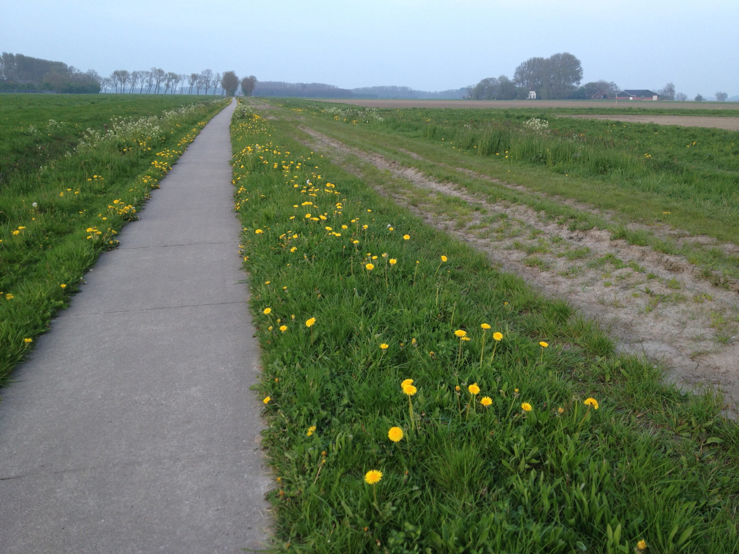 Bezwaar tegen breed fietspad tussen Groningen en Ten Boer