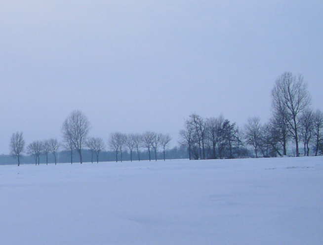 Code geel: KNMI waarschuwt voor gladheid