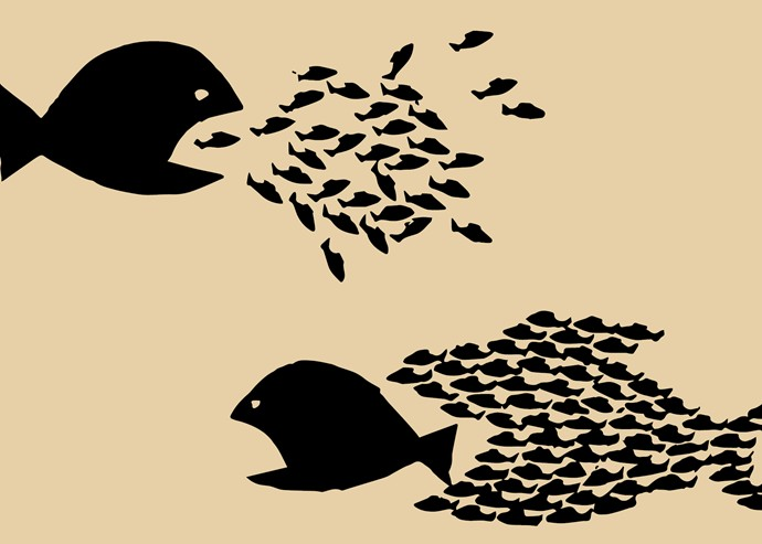 MKB Business Challenge: studenten gaan aan de slag met mkb-vraagstukken