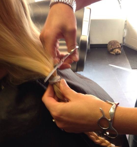 Groningse nagelstylistes sluiten lustkapper op