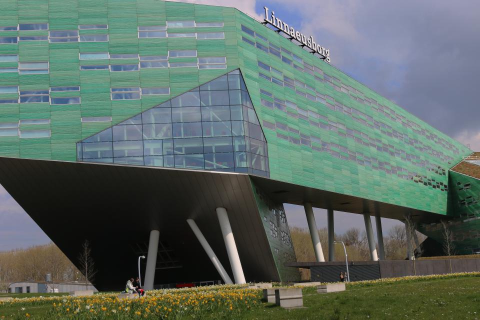 Onderzoek Hanzehogeschool: kantoren te warm