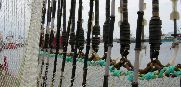 Groningse gedeputeerde zet zich in voor behoud 'Pulsvisserij'