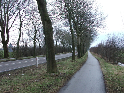 Provincie ondervraagt fietsers over Fietsroute Plus Groningen-Bedum
