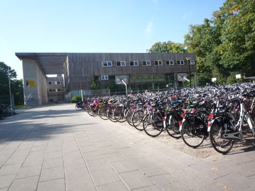 Politie rondt onderzoek ter plaatse af: geen verdachte zaken aangetroffen bij Harense scholen