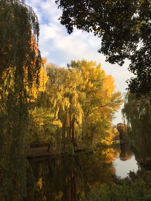 Proef zaterdag de herfstsfeer van het Noorderplantsoen tijdens de Plantsoenloop Groningen