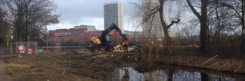Bomen gekapt bij Helperzoomtunnel