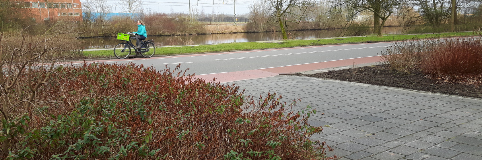 Nieuwe bomen rond Helperzoomvijver