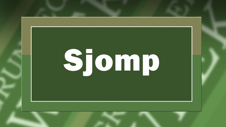 'Sjomp' uitgeroepen tot schierste Grunneger woord