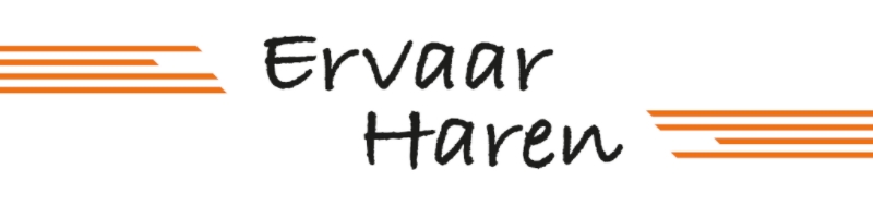 Nieuw evenement in Haren: de Koningsdagen