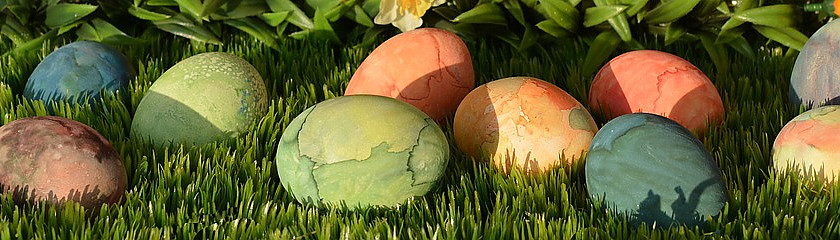 Het is Paasweekend! Wat is er de komende dagen allemaal te doen in Groningen?