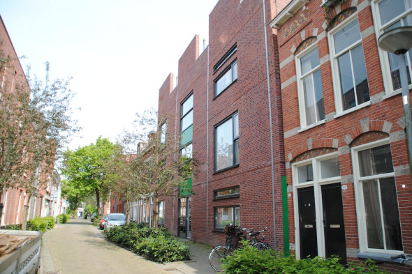 Bewoners brengen Grote Appelstraat tot bloei