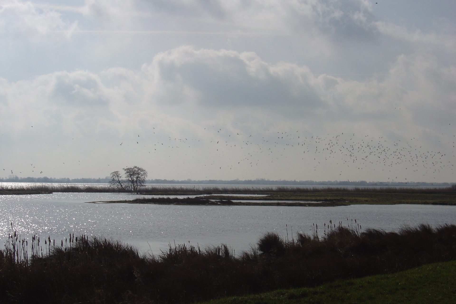 Groninger Landschap organiseert avondfietstocht rond het Zuidlaardermeer