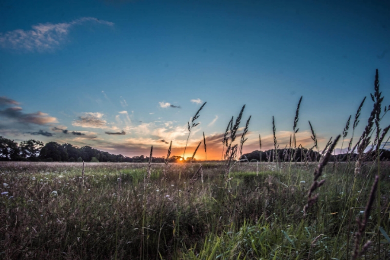 Unieke combi van muziek, theater en kunst tijdens FestiValderAa