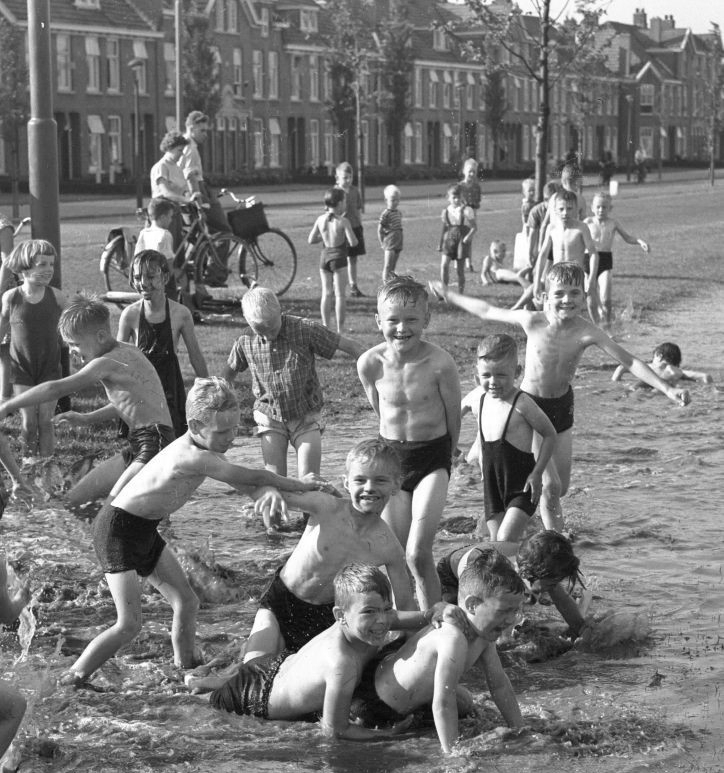 Wat maakt u gelukkig in Groningen ?