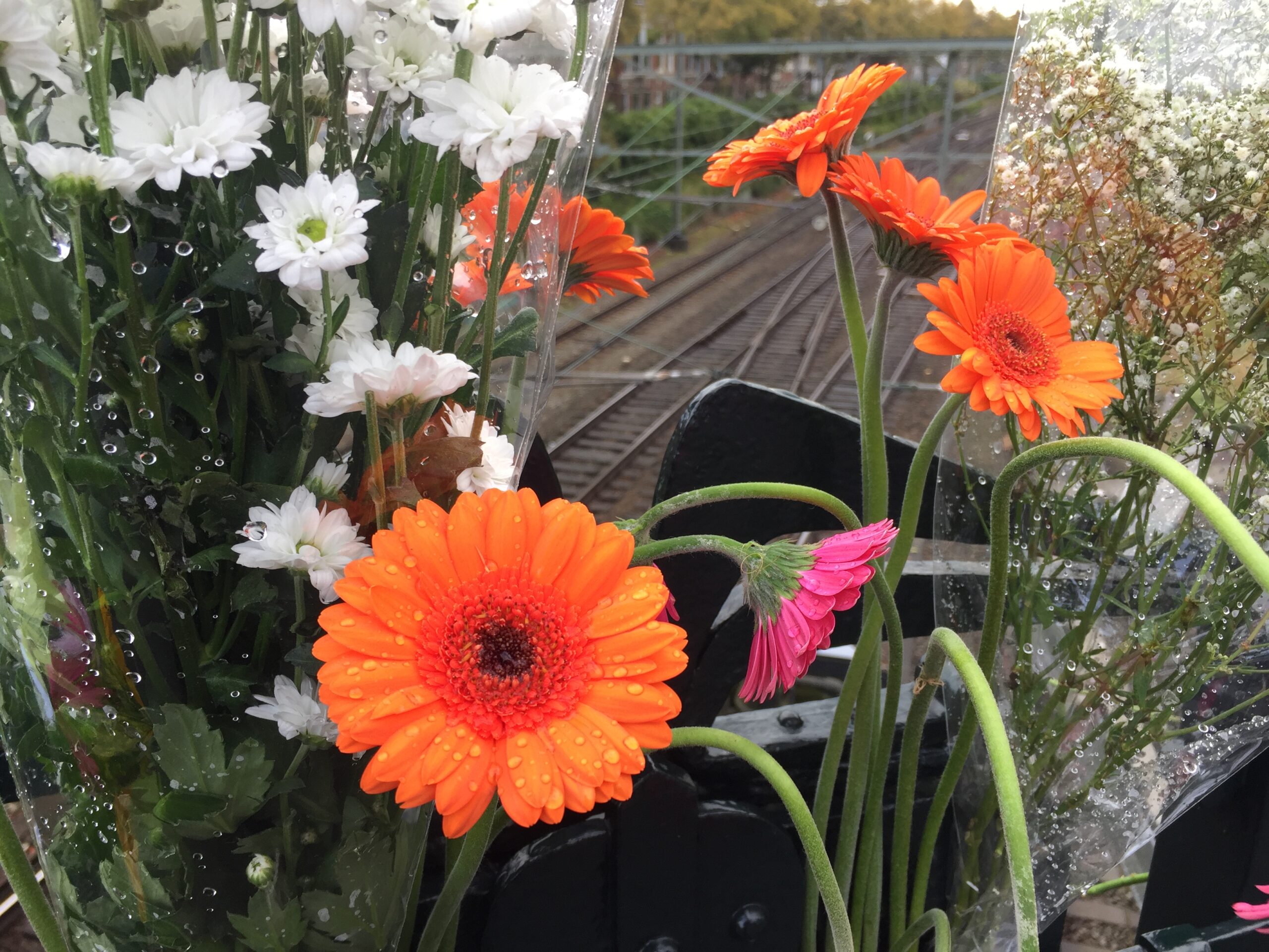 Stilteplek bij Hanzehogeschool voor overleden 21-jarige student