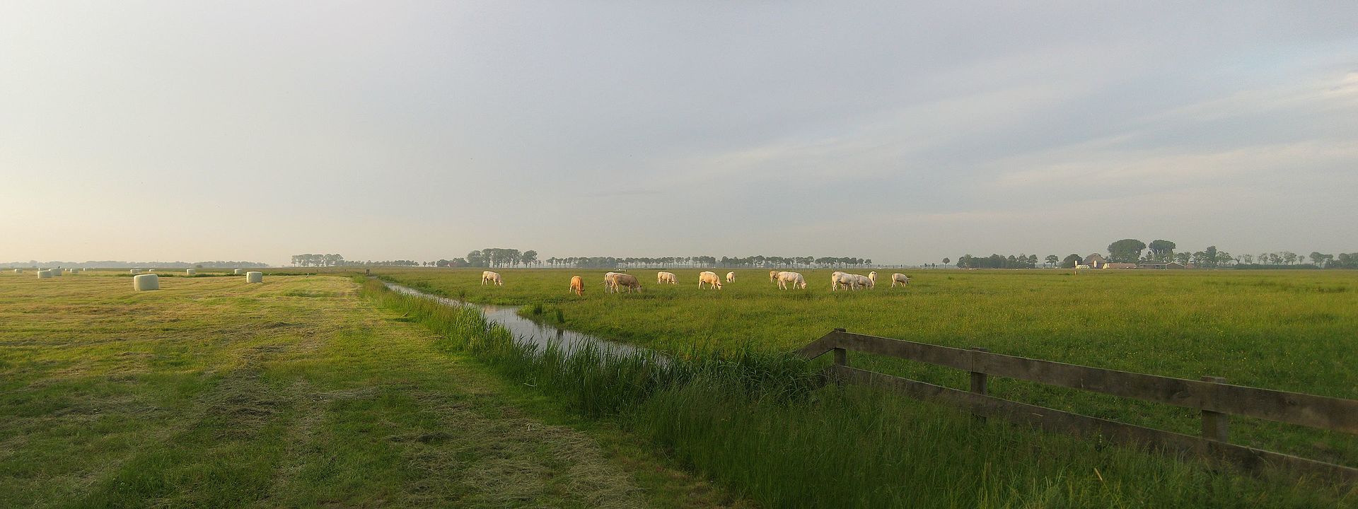 Het Groninger Landschap organiseert herfstwandeling door Koningslaagte.