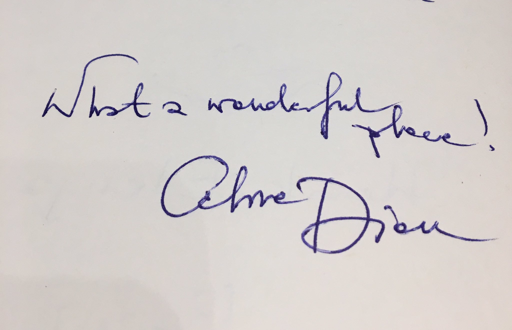 Mysterieuze krabbel in gastenboek museum: was Céline Dion in Groningen?