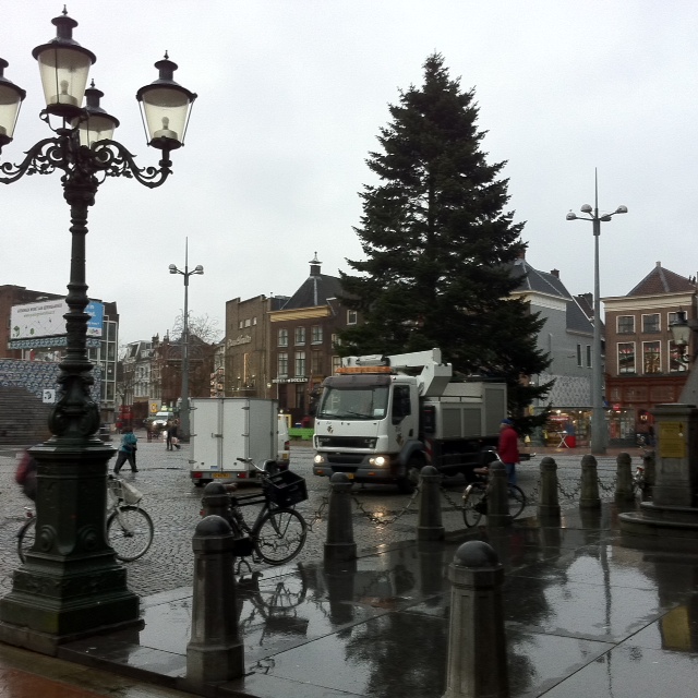 Dronken studenten kappen kerstboom in Noorderplantsoen