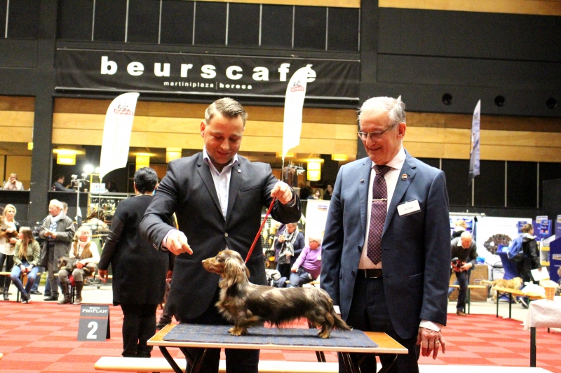 Grootste hondendiner ooit in Martiniplaza