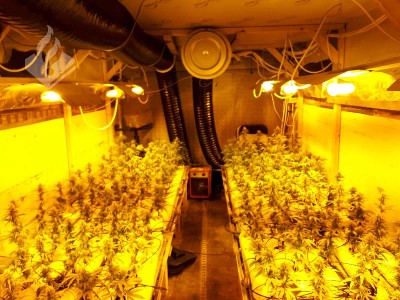 Politie Groningen ontdekt wietkwekerij in vrachtwagen