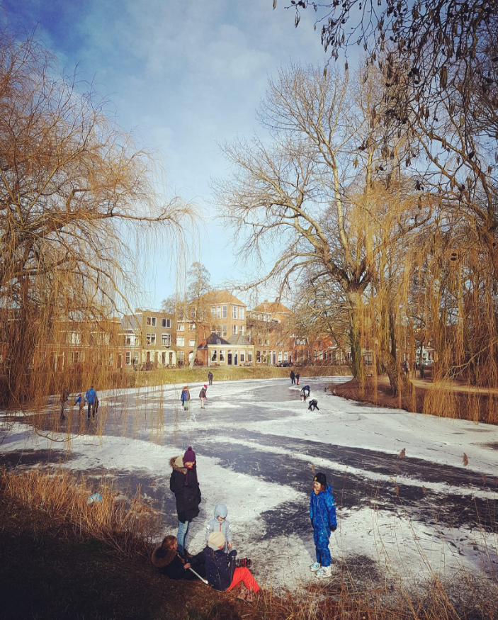 Noorderplantsoen - Foto: Lotte Marijn Millar