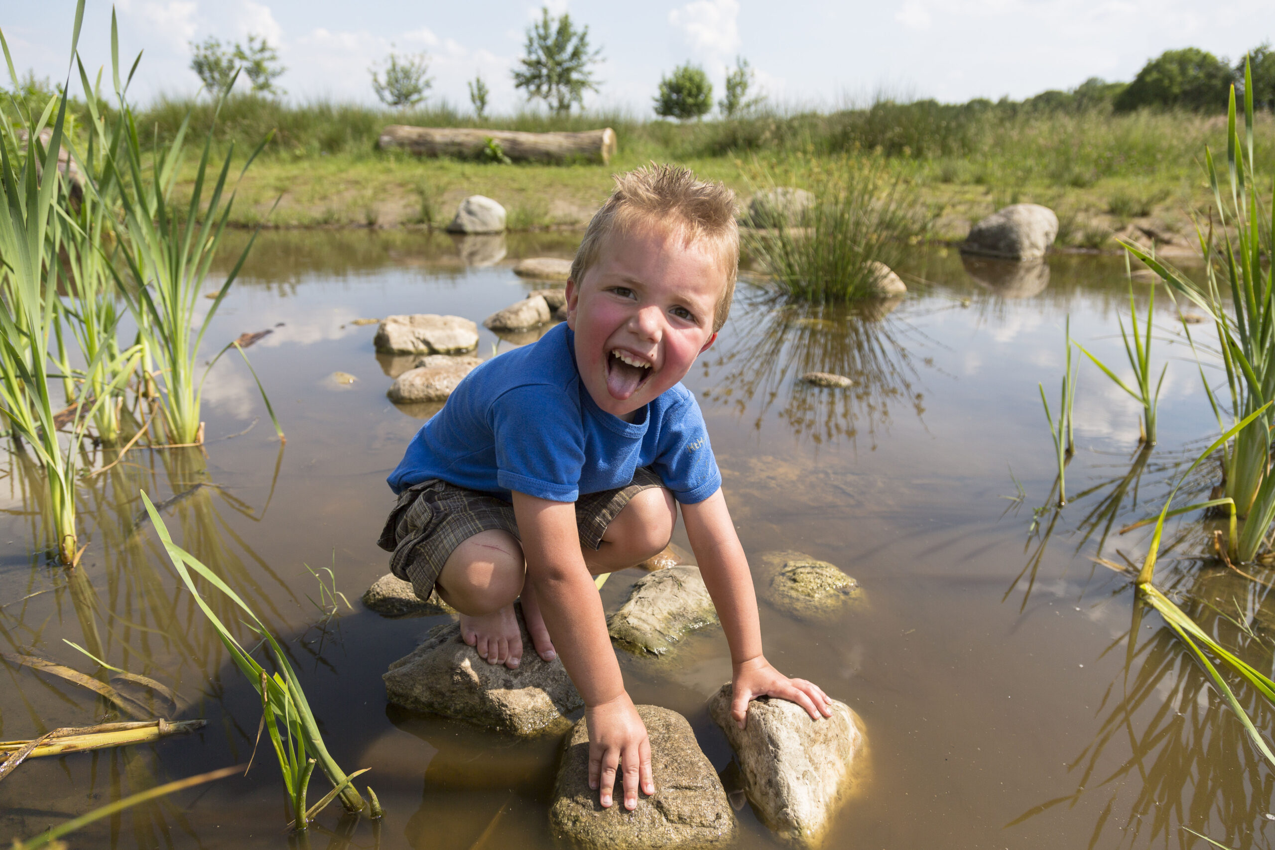 Speelgebied voor kinderen met 'oernatuur' Kardinge