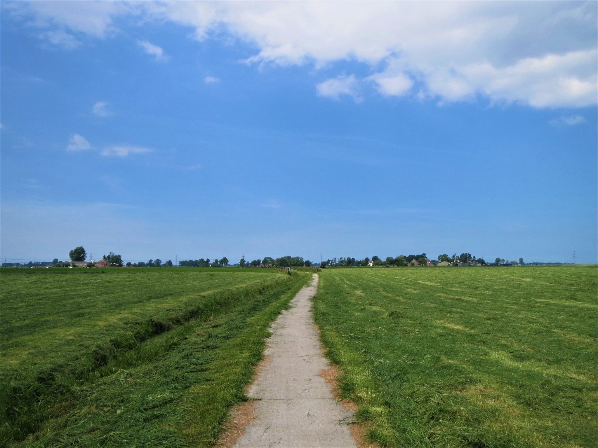 Wandelen langs en door de pareltjes van Groningen: het Pronkjewailpad