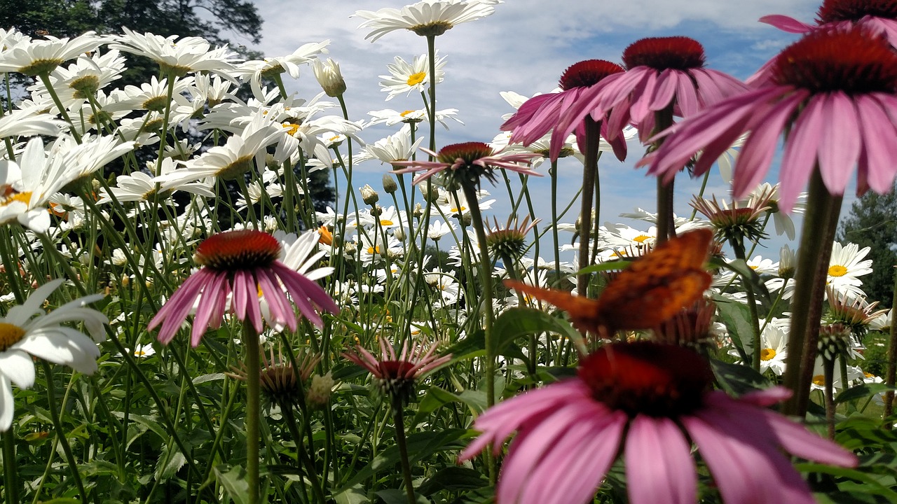 Tijdelijke natuurtuin aan achterzijde Hoofdstation