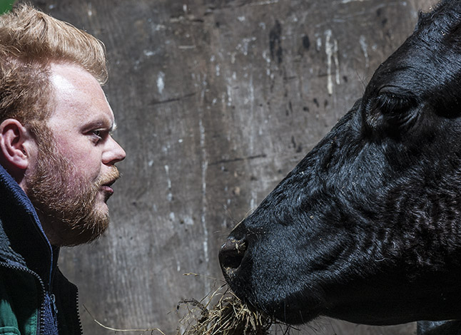 Maalkop: theaterdialoog tussen boer en koe