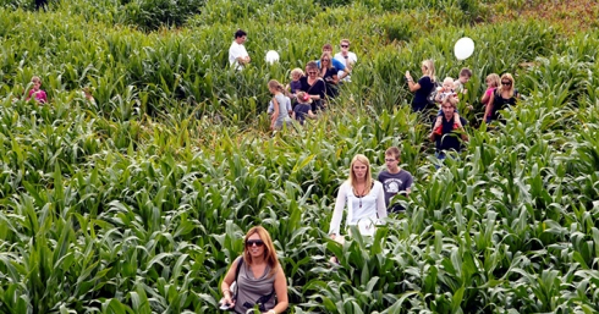 Vakantie in Groningen: wat is er allemaal te doen?