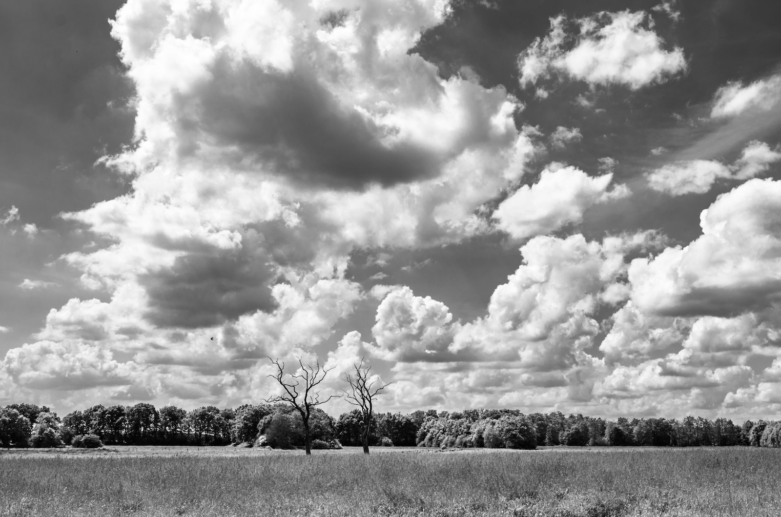 Foto’s van Rein Scholte in Fotogalerie Lichtzone