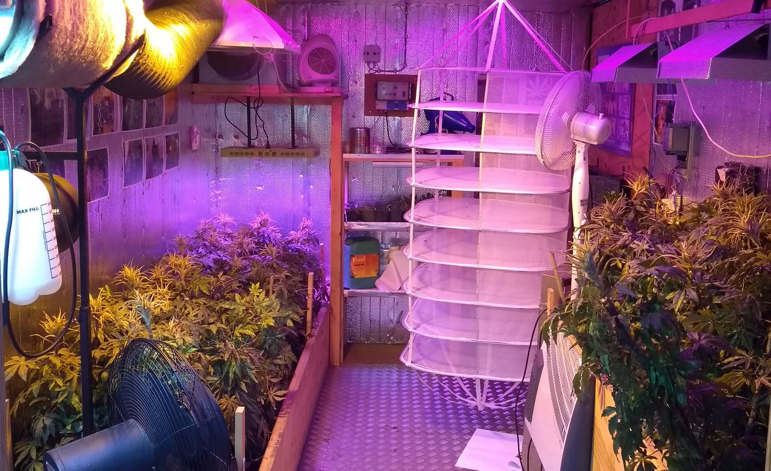 Politie opent hennepkwekerij op Vismarkt