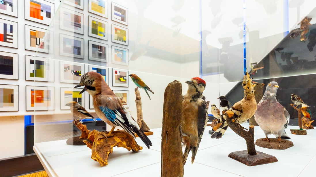 212 Fahrenheit lanceert BLOCBIRDS: vogels als kunstwerk