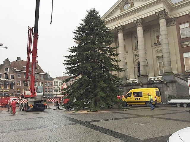 Kerstboom én Grote Markt staan er volgende week strálend bij